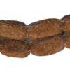 Chorizo Sausage